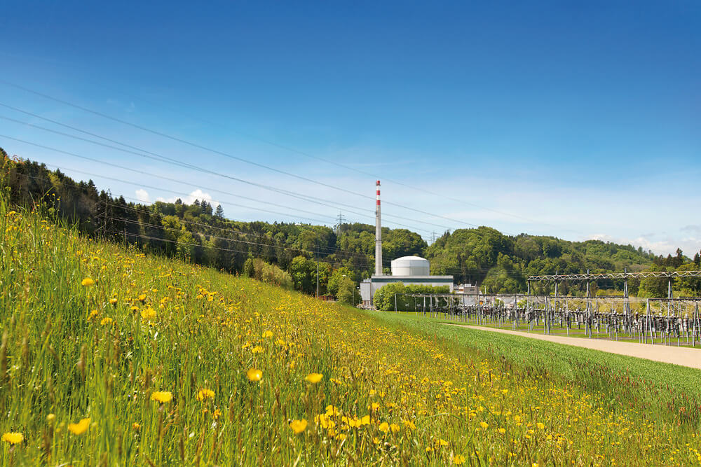 Schweizer Kernkraftwerke Kernkraftwerk G sgen D niken AG schweizer-kernkraftwerke-kernkraftwerk-g-sgen-d-niken-ag